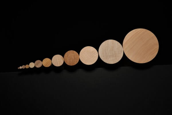 Twelve wooden dowels displayed in graduated sizes from smallest to largest, made from domestic hardwood species.