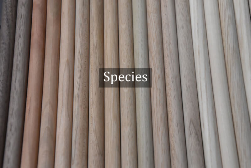 Wood Species Samples for Custom Wood Products and Bulk Manufacturing A selection of different wood species shown in small rectangular samples arranged side by side.