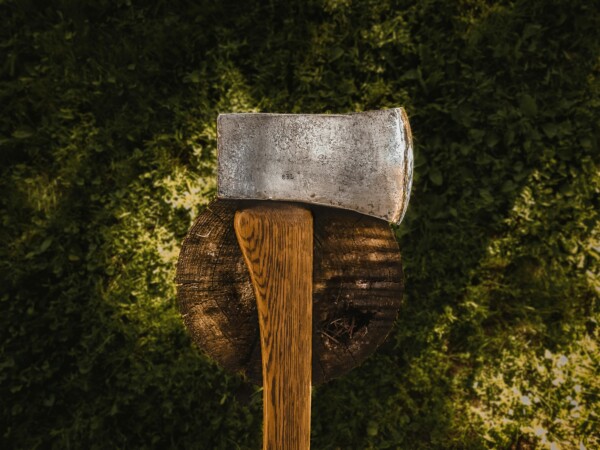 Close-up of an axe with a wooden handle resting on a stump, showing clean grain and shape.