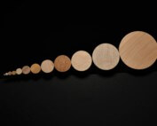 Twelve wooden dowels displayed in graduated sizes from smallest to largest, made from domestic hardwood species.