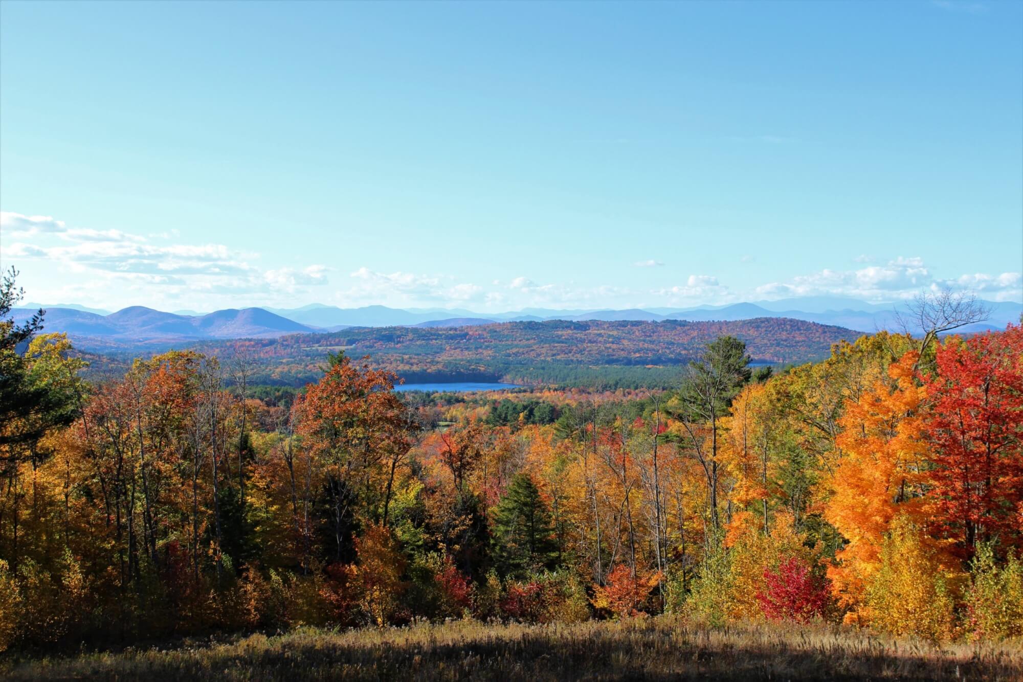 General fall foliage scene with colorful autumn leaves on trees.