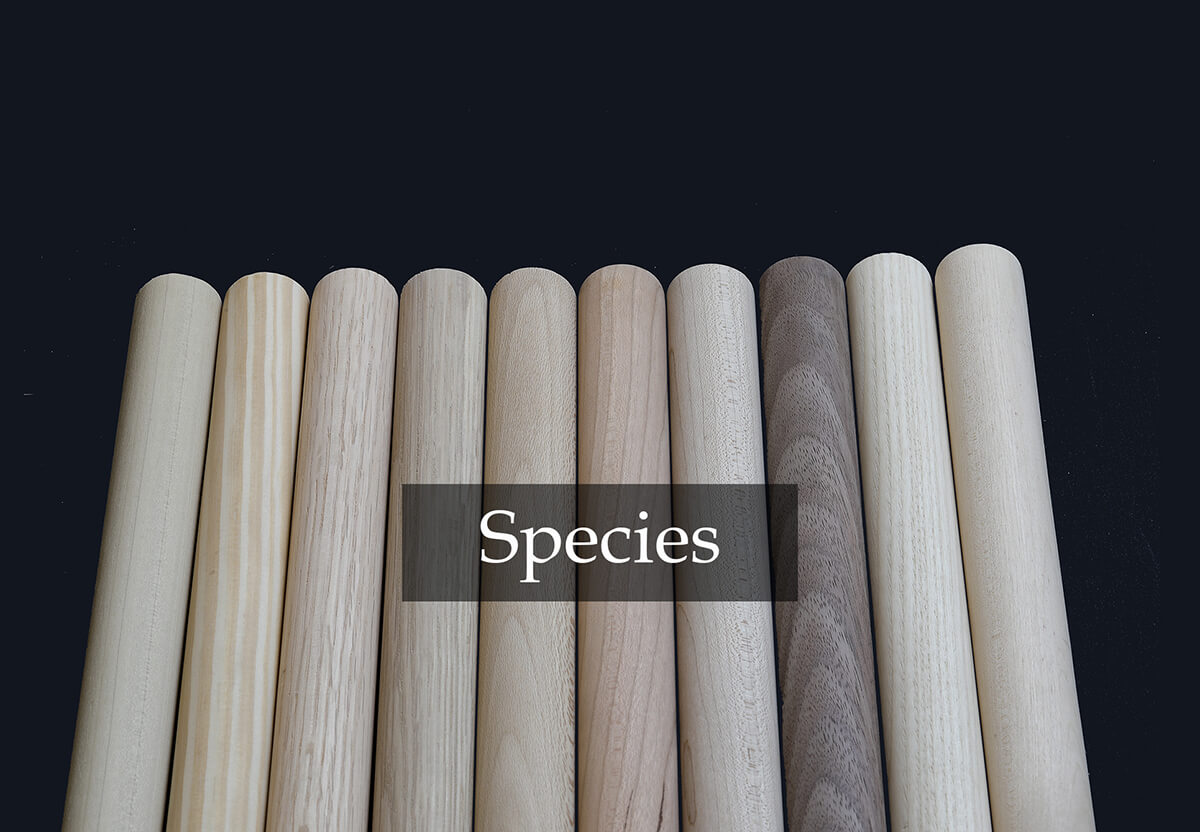 Sample of Species Available for Custom Dowels.