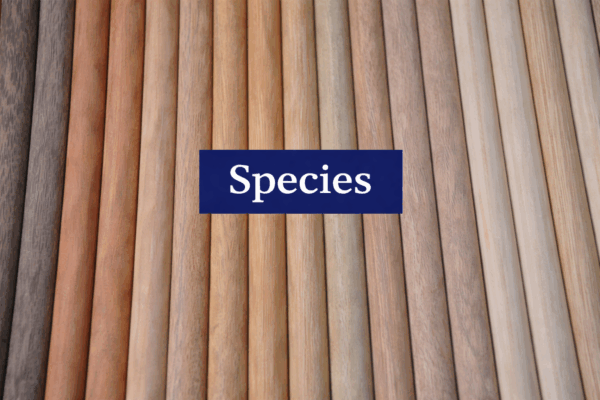 A range of hardwood and softwood dowels displayed side by side with a blue overlay labeled species.